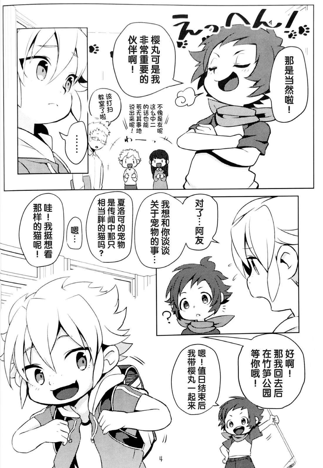 第3页